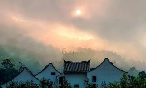救援七星瓢虫